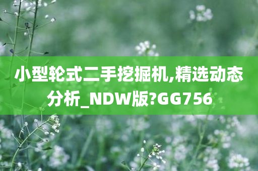 小型轮式二手挖掘机,精选动态分析_NDW版?GG756