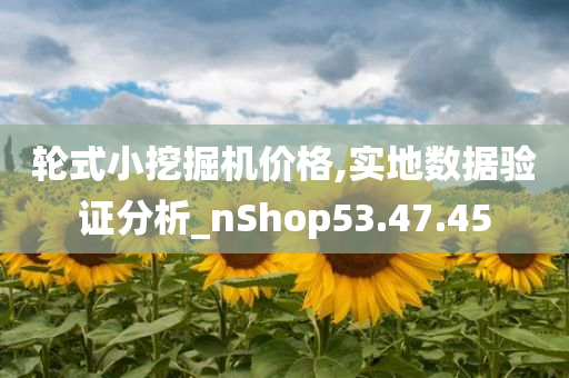 轮式小挖掘机价格,实地数据验证分析_nShop53.47.45