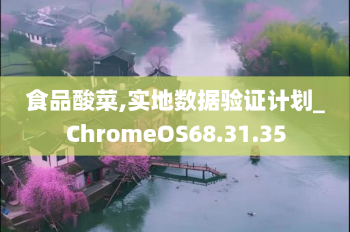 食品酸菜,实地数据验证计划_ChromeOS68.31.35