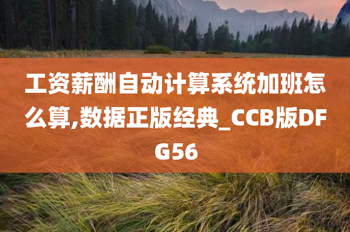 工资薪酬自动计算系统加班怎么算,数据正版经典_CCB版DFG56