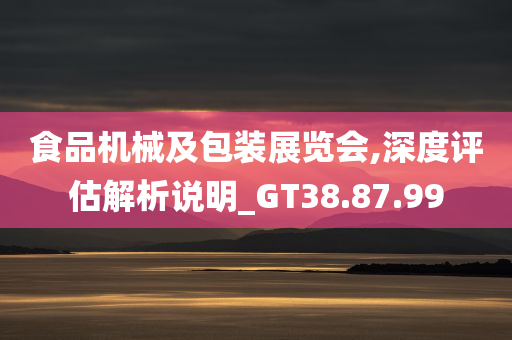 食品机械及包装展览会,深度评估解析说明_GT38.87.99