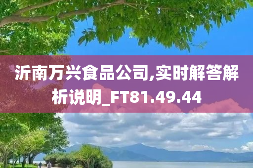 沂南万兴食品公司,实时解答解析说明_FT81.49.44