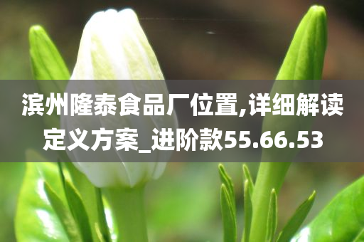 滨州隆泰食品厂位置,详细解读定义方案_进阶款55.66.53