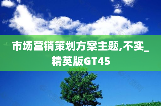 市场营销策划方案主题,不实_精英版GT45