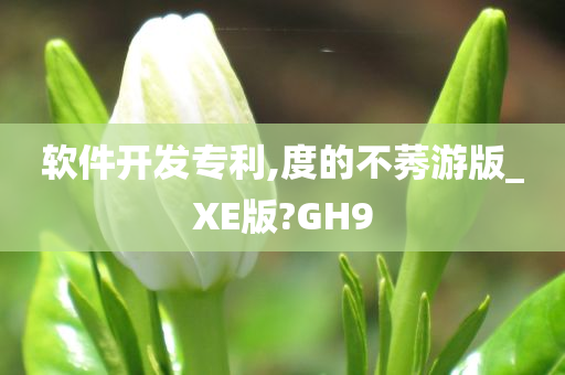 软件开发专利,度的不莠游版_XE版?GH9