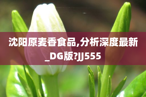 沈阳原麦香食品,分析深度最新_DG版?JJ555