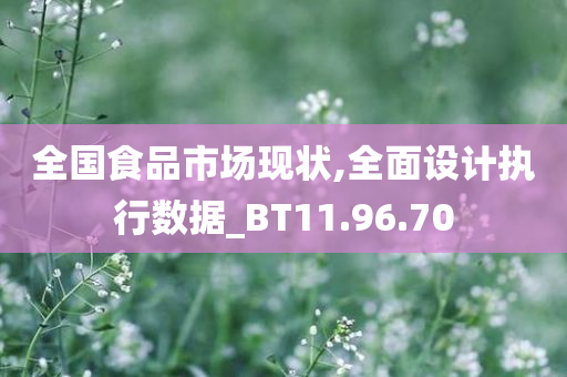 全国食品市场现状,全面设计执行数据_BT11.96.70