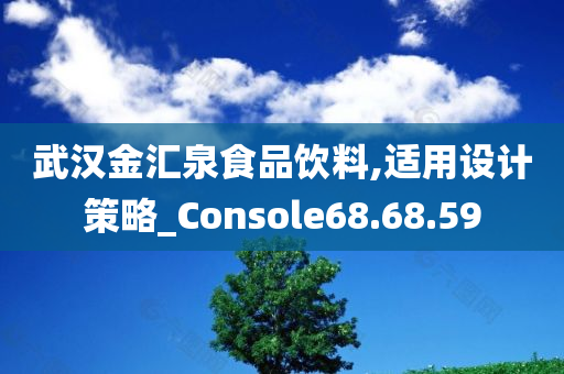 武汉金汇泉食品饮料,适用设计策略_Console68.68.59