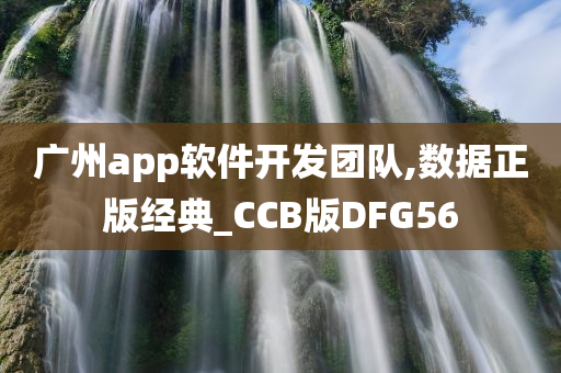 广州app软件开发团队,数据正版经典_CCB版DFG56