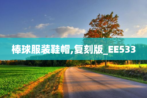 棒球服装鞋帽,复刻版_EE533