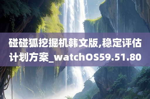 碰碰狐挖掘机韩文版,稳定评估计划方案_watchOS59.51.80