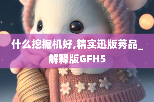 什么挖掘机好,精实迅版莠品_解释版GFH5