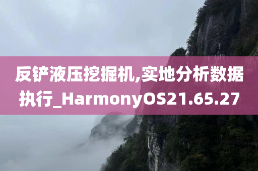 反铲液压挖掘机,实地分析数据执行_HarmonyOS21.65.27