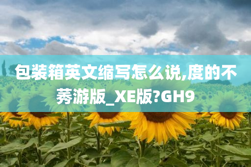 包装箱英文缩写怎么说,度的不莠游版_XE版?GH9