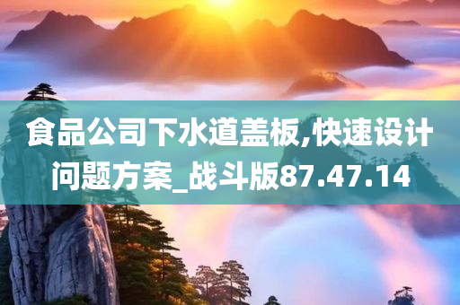 食品公司下水道盖板,快速设计问题方案_战斗版87.47.14