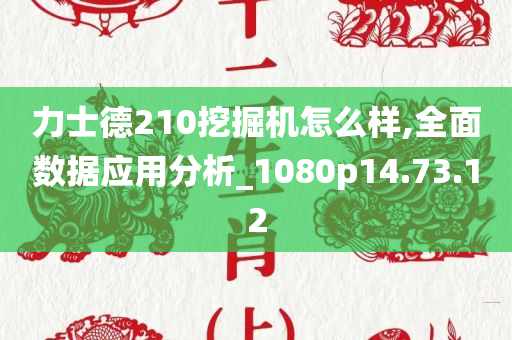 力士德210挖掘机怎么样,全面数据应用分析_1080p14.73.12