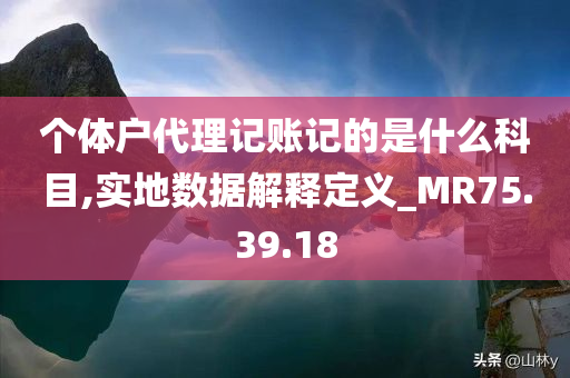 个体户代理记账记的是什么科目,实地数据解释定义_MR75.39.18