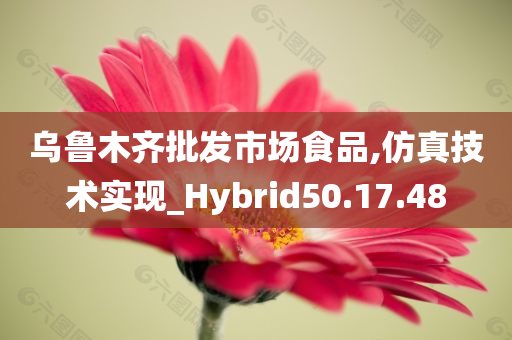 乌鲁木齐批发市场食品,仿真技术实现_Hybrid50.17.48