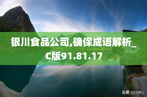 银川食品公司,确保成语解析_C版91.81.17