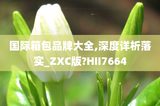 国际箱包品牌大全,深度详析落实_ZXC版?HII7664