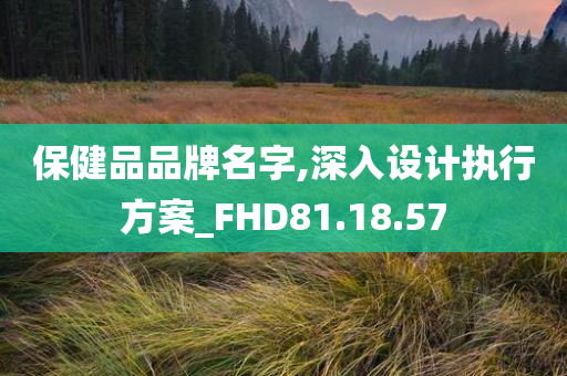 保健品品牌名字,深入设计执行方案_FHD81.18.57