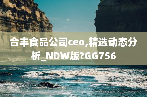 合丰食品公司ceo,精选动态分析_NDW版?GG756