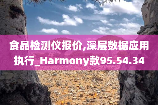 食品检测仪报价,深层数据应用执行_Harmony款95.54.34