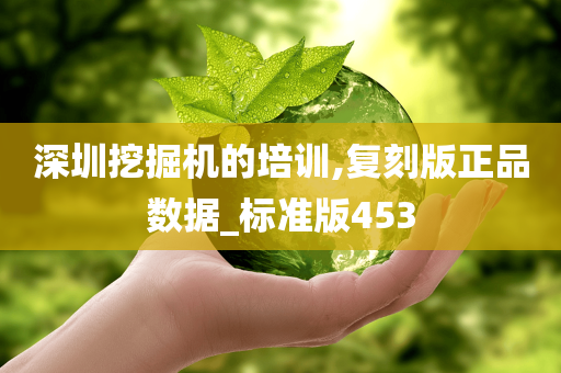 深圳挖掘机的培训,复刻版正品数据_标准版453