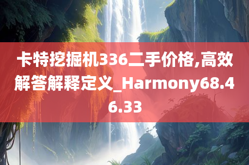 卡特挖掘机336二手价格,高效解答解释定义_Harmony68.46.33