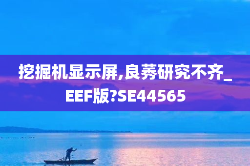 挖掘机显示屏,良莠研究不齐_EEF版?SE44565