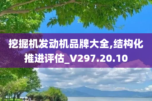 挖掘机发动机品牌大全,结构化推进评估_V297.20.10