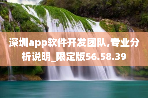 深圳app软件开发团队,专业分析说明_限定版56.58.39