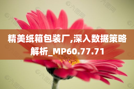 精美纸箱包装厂,深入数据策略解析_MP60.77.71