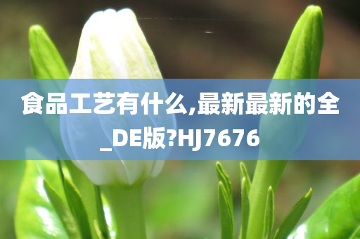 食品工艺有什么,最新最新的全_DE版?HJ7676