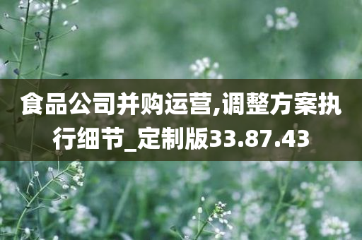 食品公司并购运营,调整方案执行细节_定制版33.87.43