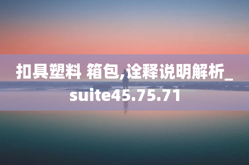 扣具塑料 箱包,诠释说明解析_suite45.75.71