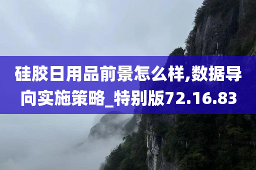 硅胶日用品前景怎么样,数据导向实施策略_特别版72.16.83