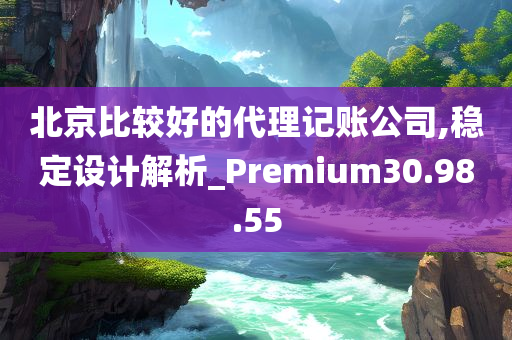 北京比较好的代理记账公司,稳定设计解析_Premium30.98.55