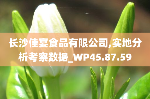 长沙佳宴食品有限公司,实地分析考察数据_WP45.87.59