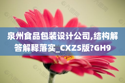 泉州食品包装设计公司,结构解答解释落实_CXZS版?GH9