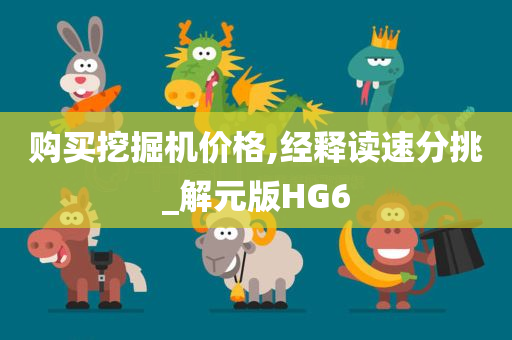 购买挖掘机价格,经释读速分挑_解元版HG6