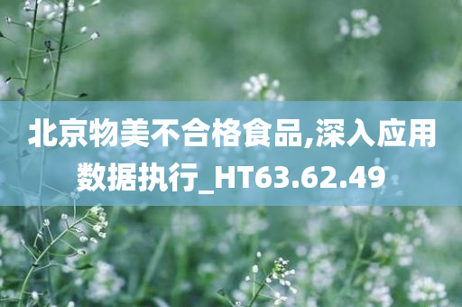 北京物美不合格食品,深入应用数据执行_HT63.62.49