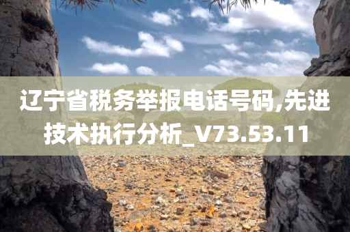 辽宁省税务举报电话号码,先进技术执行分析_V73.53.11