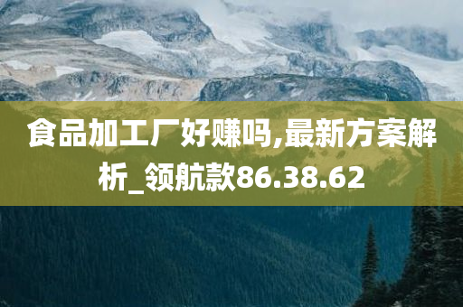 食品加工厂好赚吗,最新方案解析_领航款86.38.62