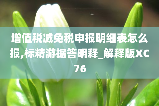 增值税减免税申报明细表怎么报,标精游据答明释_解释版XC76