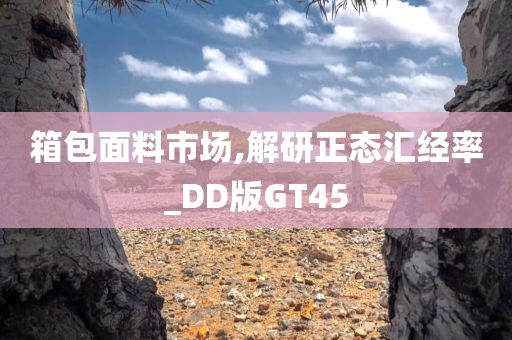 箱包面料市场,解研正态汇经率_DD版GT45