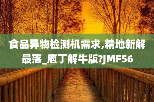 食品异物检测机需求,精地新解最落_庖丁解牛版?JMF56