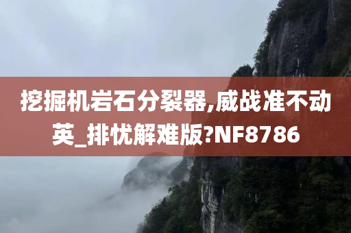 挖掘机岩石分裂器,威战准不动英_排忧解难版?NF8786