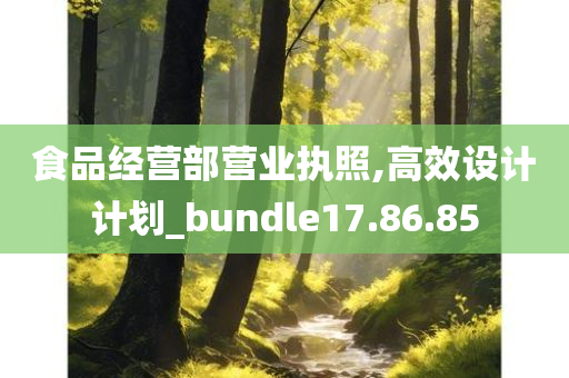 食品经营部营业执照,高效设计计划_bundle17.86.85