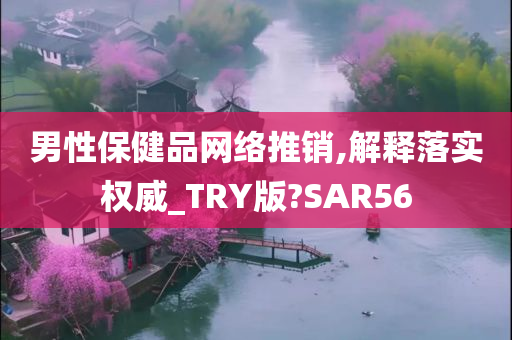 男性保健品网络推销,解释落实权威_TRY版?SAR56